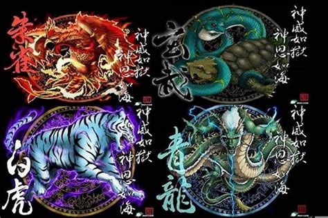 青龍 朱雀 玄武 百虎|四神:簡介,起源,體系,傳說,青龍,白虎,朱雀,玄武,影響,用。